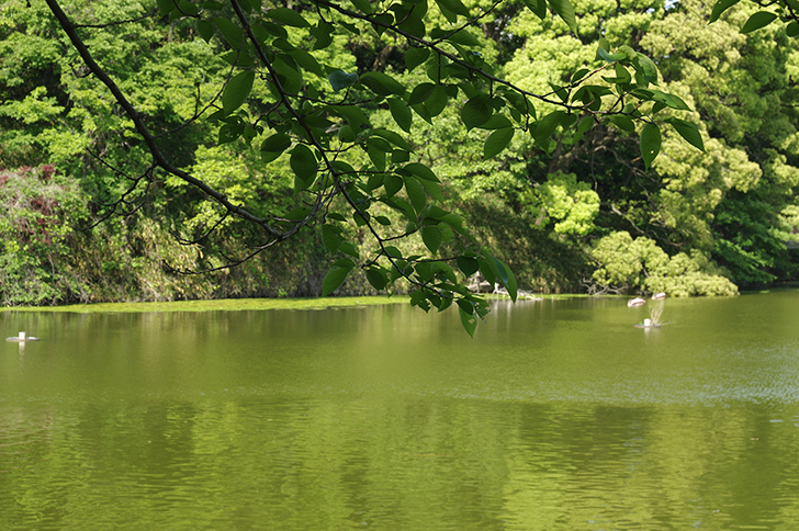 Tennoji park